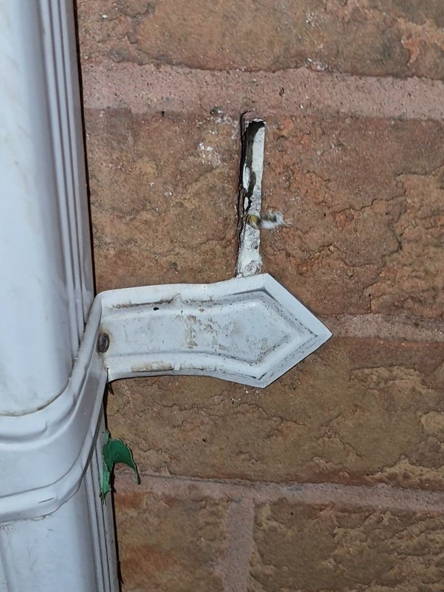 A wasp at a narrow opening in the mortar joint of a brick wall, beside a white downspout.